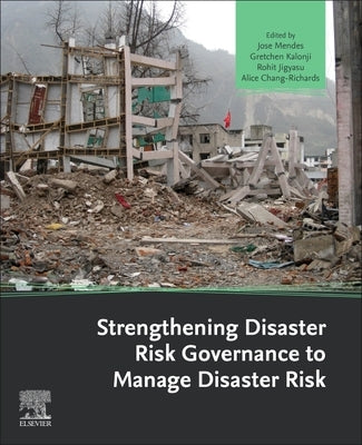 Strengthening Disaster Risk Governance to Manage Disaster Risk by Mendes, Jose Manuel