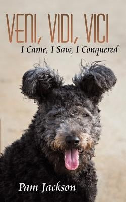Veni, Vidi, Vici: I Came, I Saw, I Conquered by Jackson, Pam