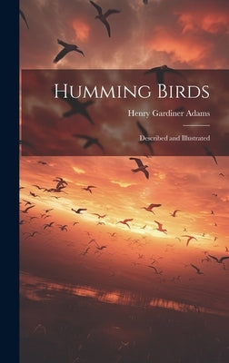 Humming Birds: Described and Illustrated by Adams, Henry Gardiner