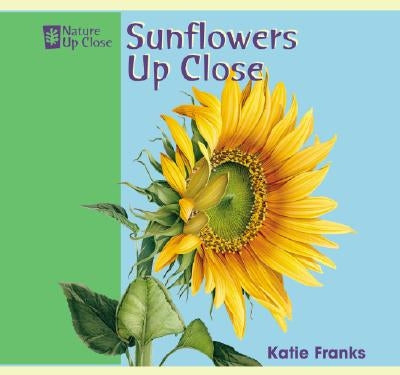 Sunflowers Up Close by Franks, Katie
