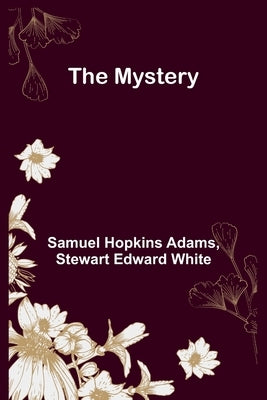 The Mystery by Hopkins Adams, Samuel