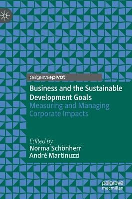 Business and the Sustainable Development Goals: Measuring and Managing Corporate Impacts by Schönherr, Norma