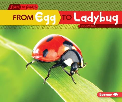 From Egg to Ladybug by Owings, Lisa