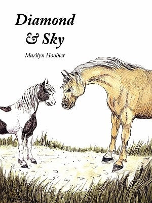 Diamond & Sky by Hoobler, Marilyn E.