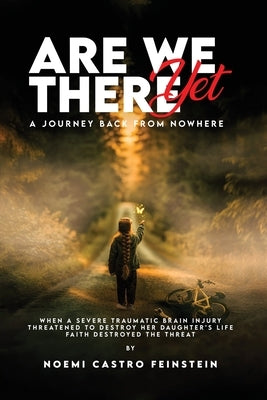 Are We There Yet A Journey Back From Nowhere by Castro-Feinstein, Noemi