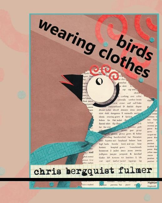 Birds Wearing Clothes: Picture Book Full of Humorous Silly Birds by Fulmer, Chris Bergquist