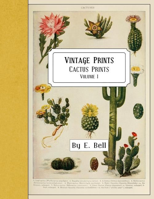 Vintage Prints: Cactus Prints by Bell, E.