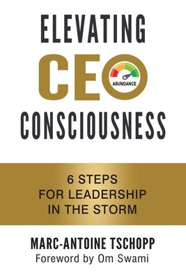 Elevating CEO Consciousness: 6 Steps for Leadership in the Storm by Tschopp, Marc-Antoine