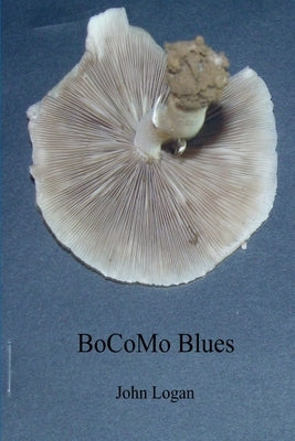 BoCoMo Blues by Logan, John