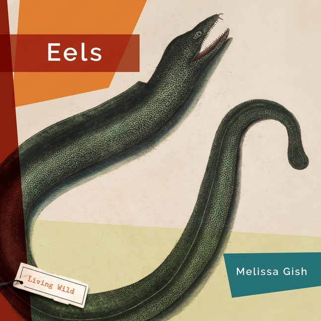 Eels by Gish, Melissa