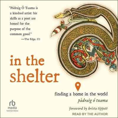 In the Shelter: Finding a Home in the World by Tuama, Pádraig Ó.