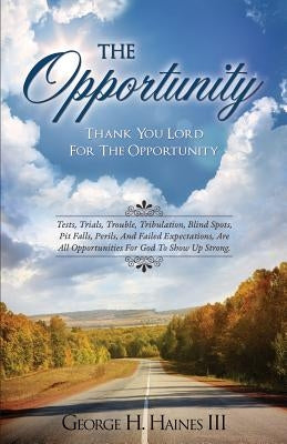 The Opportunity by Haines, George H., III