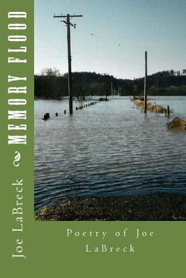 Memory Flood by Labreck, Joe