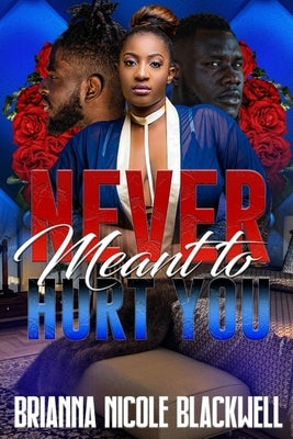 Never Meant to Hurt You by Blackwell, Brianna Nicole