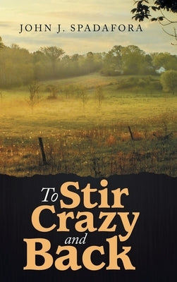 To Stir Crazy and Back by Spadafora, John J.