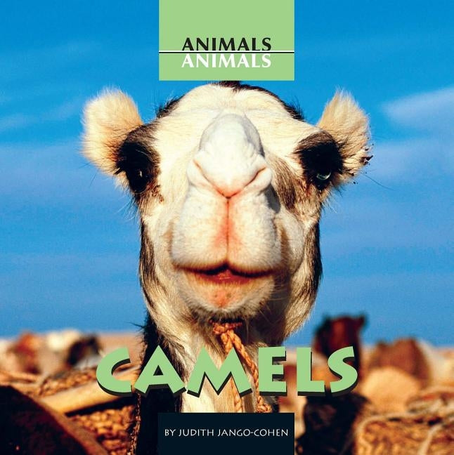 Camels by Jango-Cohen, Judith