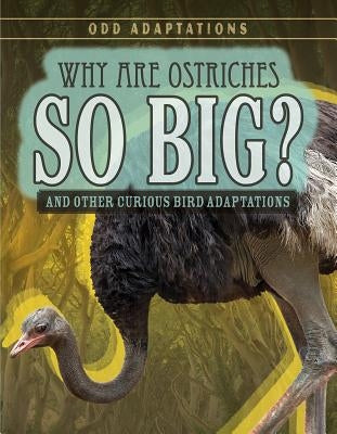 Why Are Ostriches So Big?: And Other Curious Bird Adaptations by Fletcher, Patricia