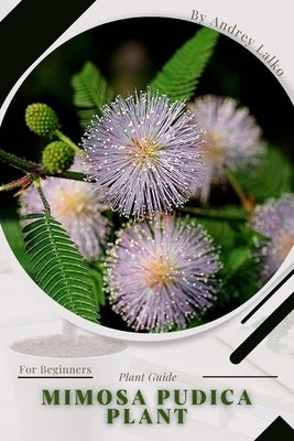 Mimosa pudica plant: Plant Guide by Lalko, Andrey
