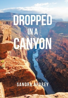 Dropped in a Canyon by Ardrey, Sandra