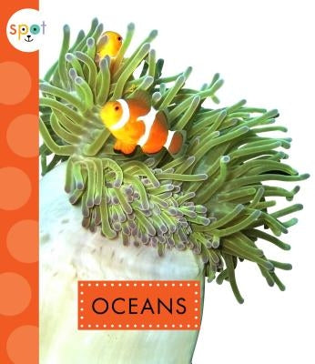 Oceans by Kelley, K. C.
