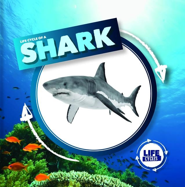 Life Cycle of a Shark by Holmes, Kirsty