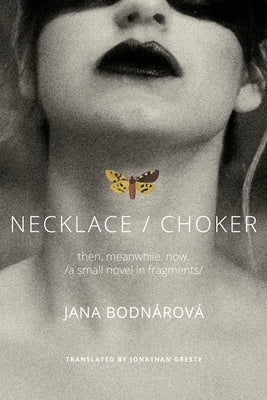 Necklace/Choker: Then, Meanwhile, Now./A Small Novel in Fragments by Bodnárová, Jana