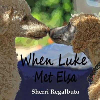 When Luke Met Elsa by Malmberg, Laurie