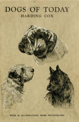 Dogs of Today by Cox, Harding