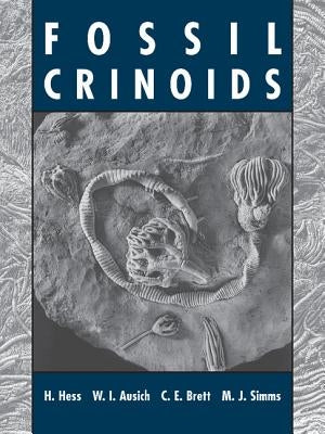 Fossil Crinoids by Hess, Hans