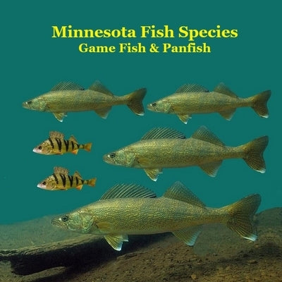Minnesota Game Fish and Panfish Species Kids Book: Great Book About the Different Types of Fish in Minnesota by Marie, Kinsey
