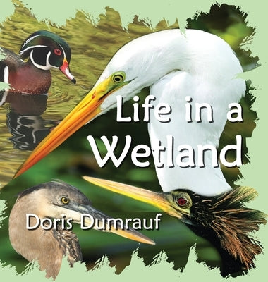 Life In A Wetland by Dumrauf, Doris