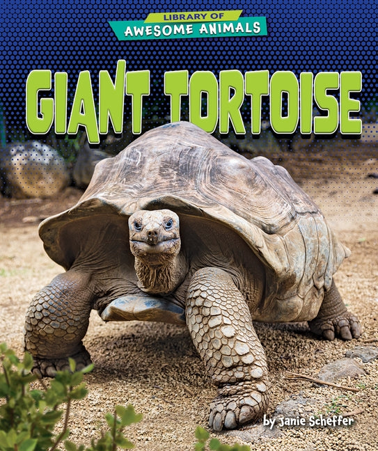 Giant Tortoise by Scheffer, Janie