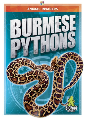 Burmese Pythons by Shaffer, Jody Jensen