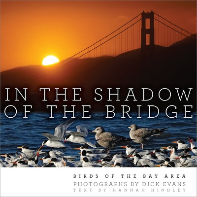 In the Shadow of the Bridge: Birds of the Bay Area by Evans, Dick