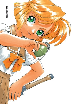 Gunsmith Cats Omnibus Volume 2 by Sonoda, Kenichi
