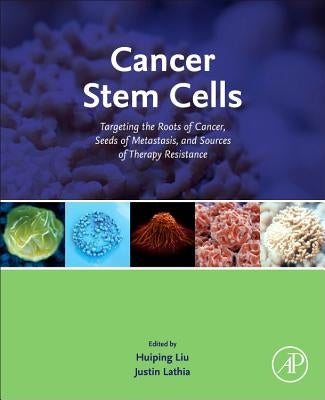Cancer Stem Cells: Targeting the Roots of Cancer, Seeds of Metastasis, and Sources of Therapy Resistance by Liu, Huiping