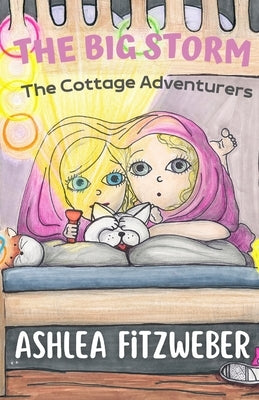 The Big Storm: The Cottage Adventurers by Ronan, Kristine