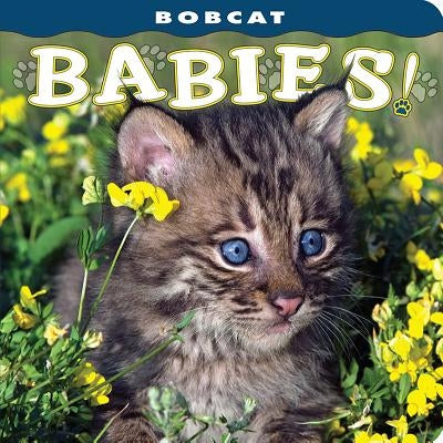 Bobcat Babies! by Husar, Lisa