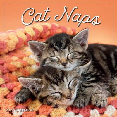 Cat Naps by Sellers Publishing, Inc