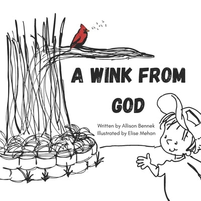 A Wink from God by Mehan, Elise