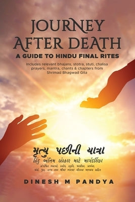 Journey After Death by Pandya, Dinesh