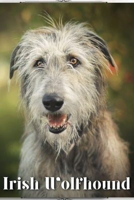 Irish Wolfhound: Dog breed overview and guide by Pustova, Nina