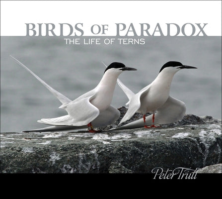 Birds of Paradox: The Life of Terns by Trull, Peter