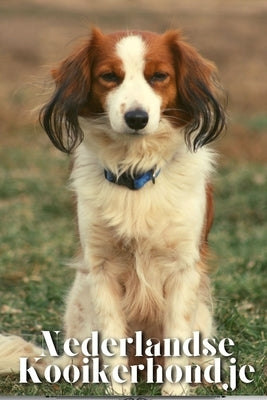 Nederlandse Kooikerhondje: Dog breed overview and guide by Pustova, Nina
