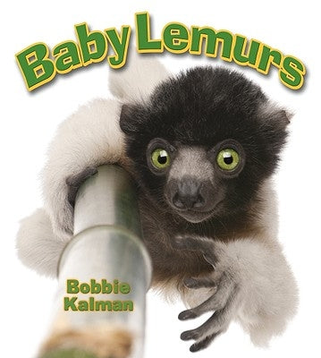 Baby Lemurs by Kalman, Bobbie