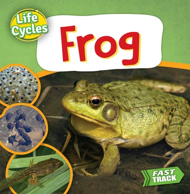 Frog by Dickmann, Nancy