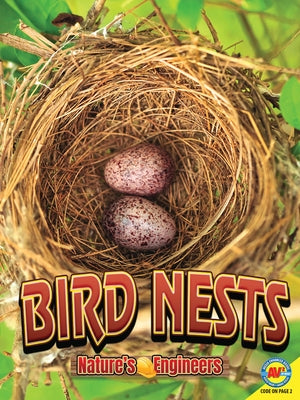 Bird Nests by Tornio, Stacy