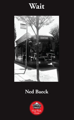 Wait: Volume 18 by Baeck, Ned