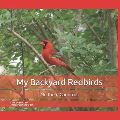 My Backyard Redbirds: Northern Cardinals by Odom, Andrew Clemens