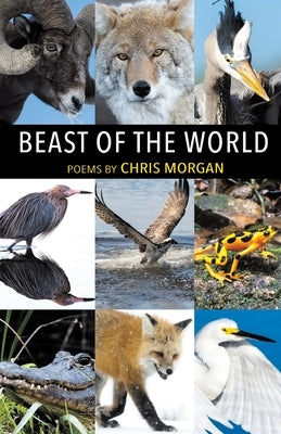 Beast of the World by Morgan, Chris